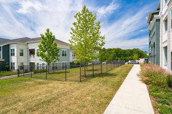 Fenced-In Dog Park